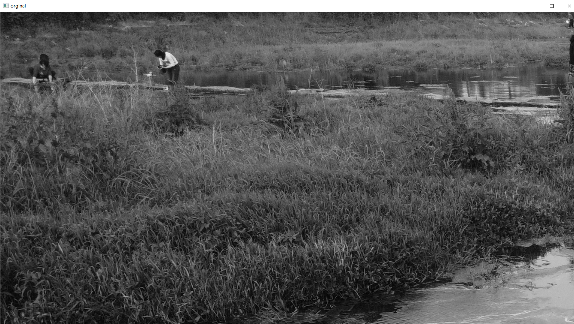 这是读取的灰度图片