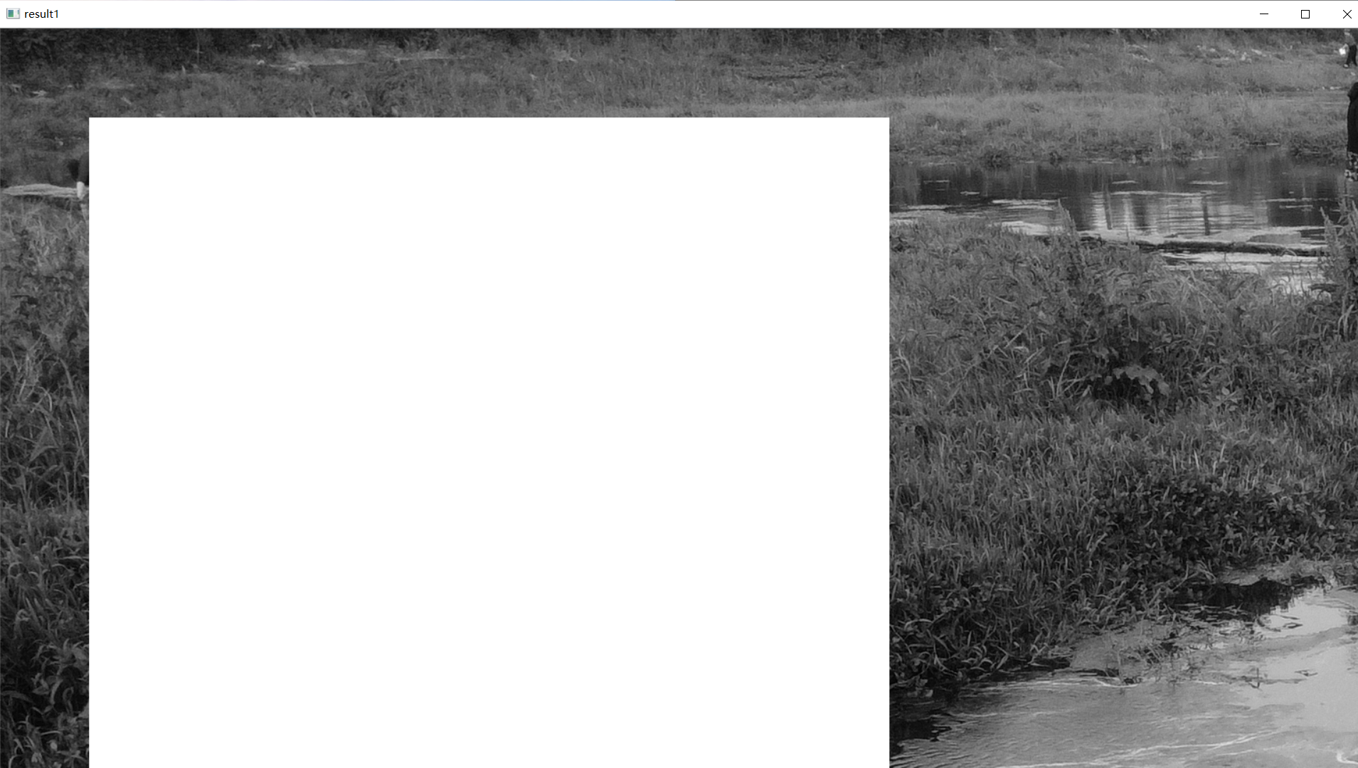 这个是效果图，就是给100：1000那个像素点全都变白了