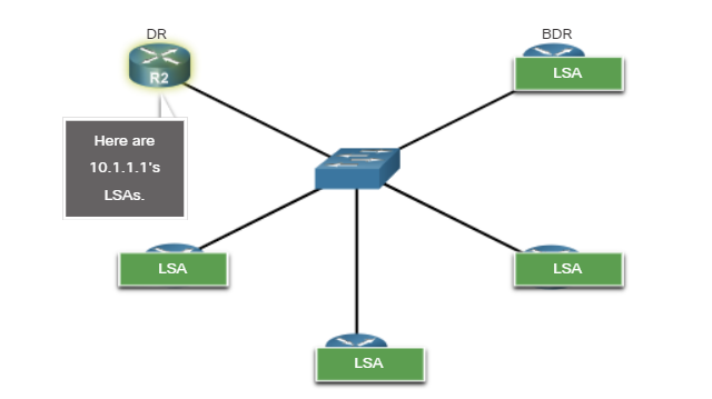 使用DR的LSA泛洪_dr 的 lsa-CSDN博客