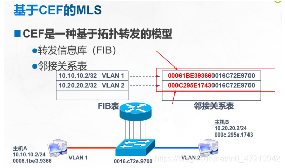 VLAN的划分以及三层交换机理论，OMG，太详细了吧，看它！