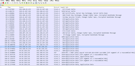 图2.1 抓取到的SSL数据包