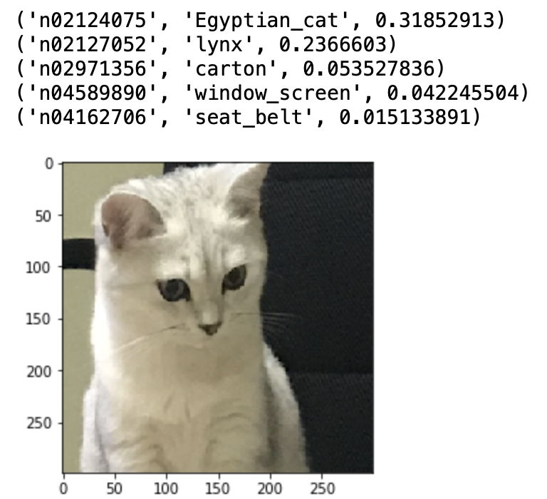 LIME算法:图像分类解释器(代码实现)人工智能weixin42347070的博客-