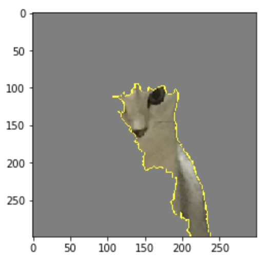 LIME算法:图像分类解释器(代码实现)人工智能weixin42347070的博客-