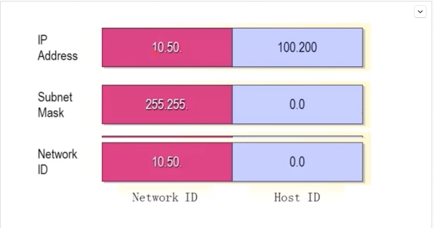 Domino S 澳洲 Csdn