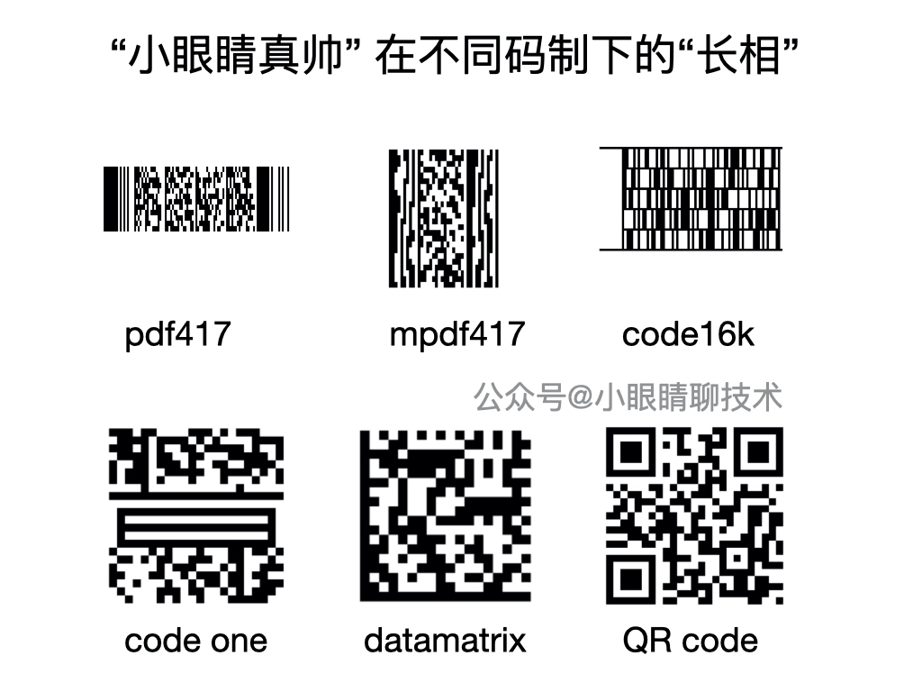眼中有码,心中无码_二维码码元-csdn博客
