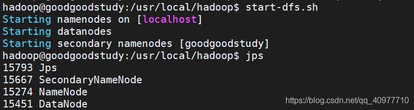通过jps查看启动的Hadoop进程