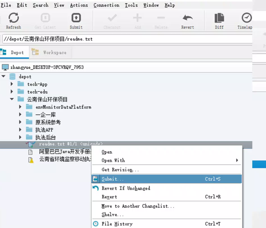 P4V(1)-CSDN博客