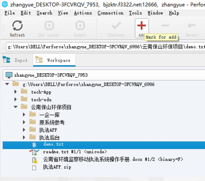 P4V(1)-CSDN博客