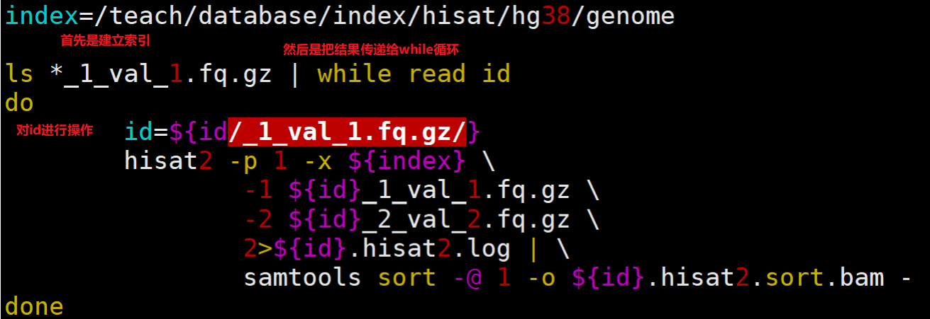 RNA-seq流程学习笔记（7）-使用Hisat2进行序列比对