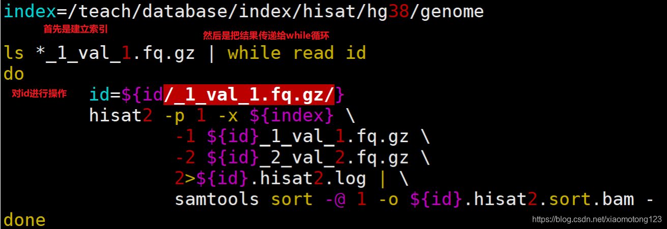 RNA-seq流程学习笔记(7)-使用Hisat2进行序列比对