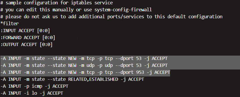 Linux下搭建DNS服务器及踩坑橙子橙子大橙子的博客-