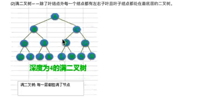 数据结构与算法--8.二叉树的基础知识