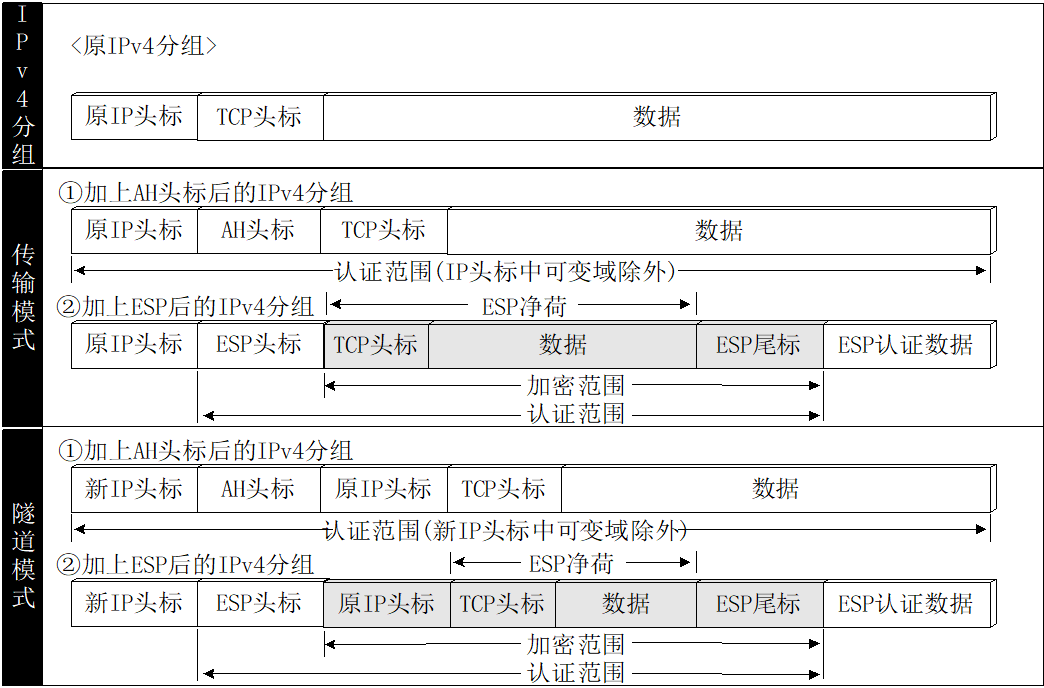 ipv6分组格式图片