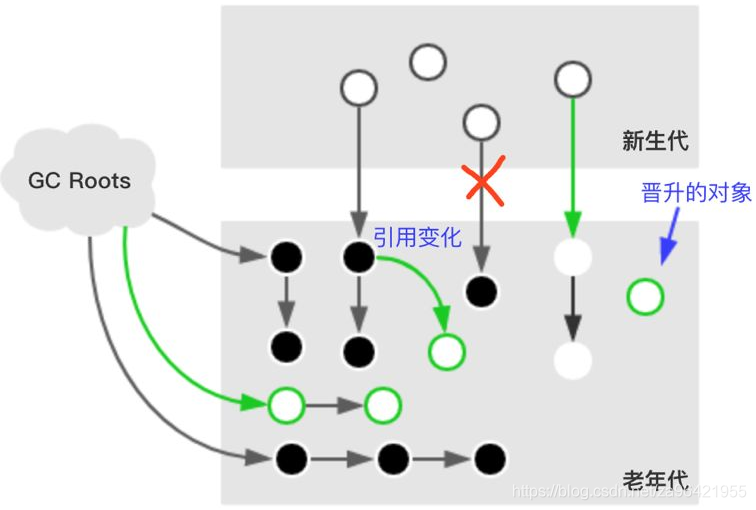 图片来自于网络