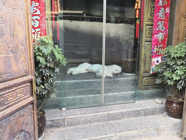 [外链图片转存失败,源站可能有防盗链机制,建议将图片保存下来直接上传(img-Uq1BKdNX-1591238420721)({{ '\styles\images\2019-06-28-unforgettable-trip-to-Lijiang/day6_2.jpg' | prepend: site.baseurl  }})]