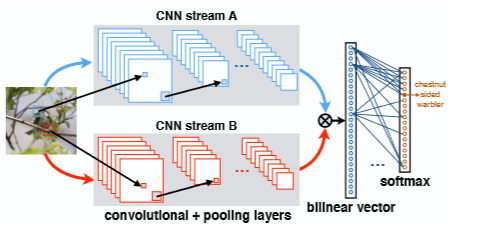 双线性卷积神经网络模型（Bilinear CNN) | 码农家园