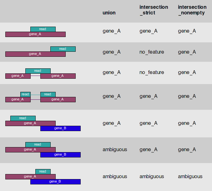 RNA-seq流程学习笔记（10）-使用HTSeq-count软件对reads进行计数_htseq教程-CSDN博客