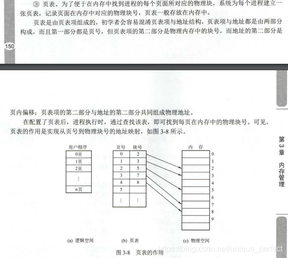 加粗样式