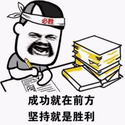 坚决支持的表情包图片