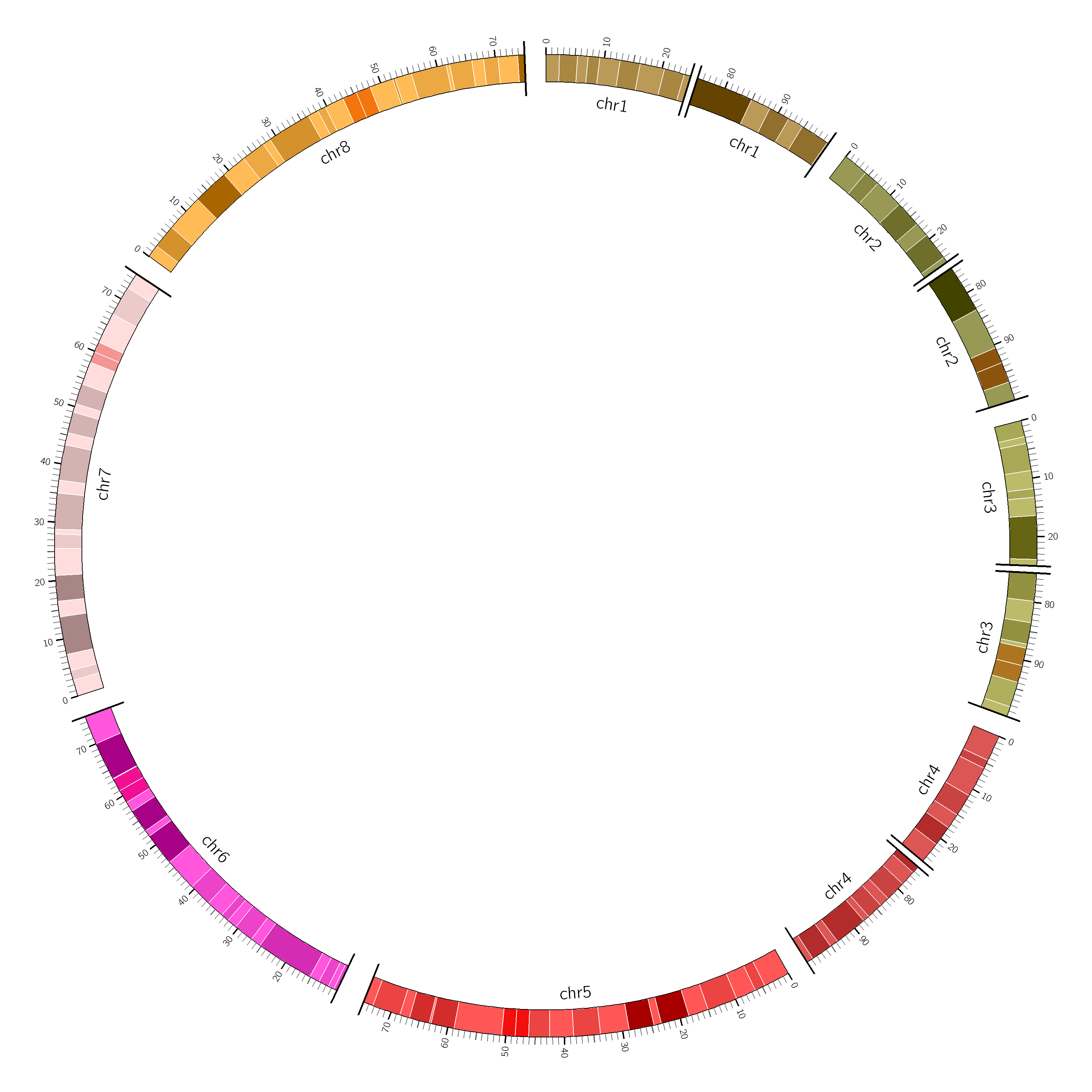 circos 染色体进阶技巧_circos函数 染色体定位 标签颜色-CSDN博客