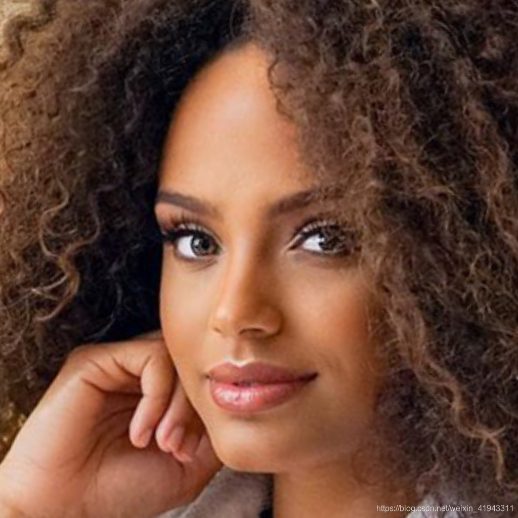 轻轻松松使用StyleGAN2(九):比较StyleGAN2重建真实人脸的四种方法weixin41943311的博客-