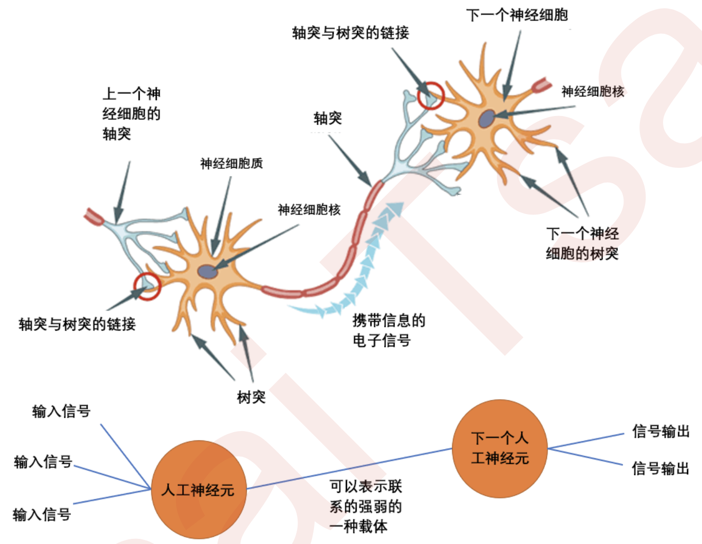 sklearn学习笔记——神经网络概述