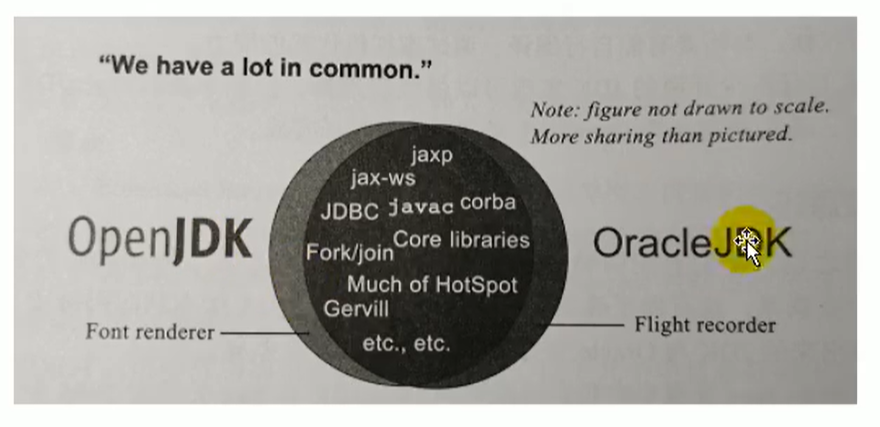 JVM从入门到精通（二）JVM和Java体系结构云祁°的博客-