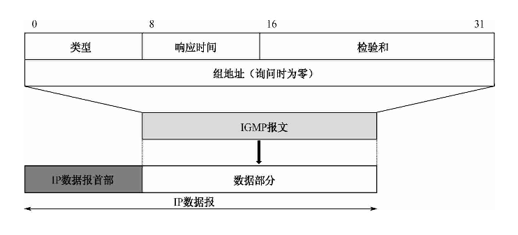 图5-34 igmp报文格式
