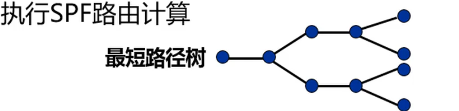 IS-IS协议原理与配置weixin46355881的博客-