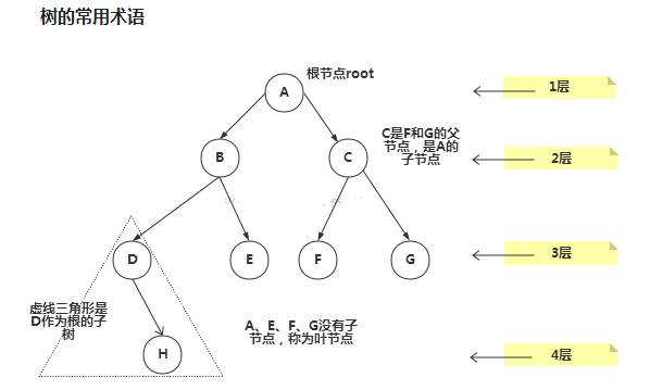 Java数据结构与算法day07树结构基础subeiLY-