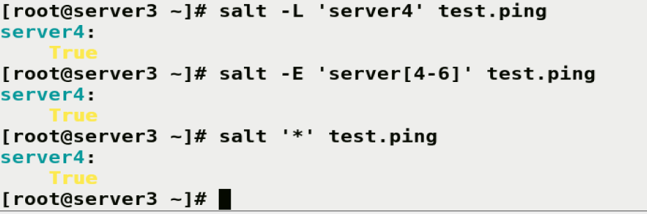 ping 也可以使用正则表达式: salt-eserver[4