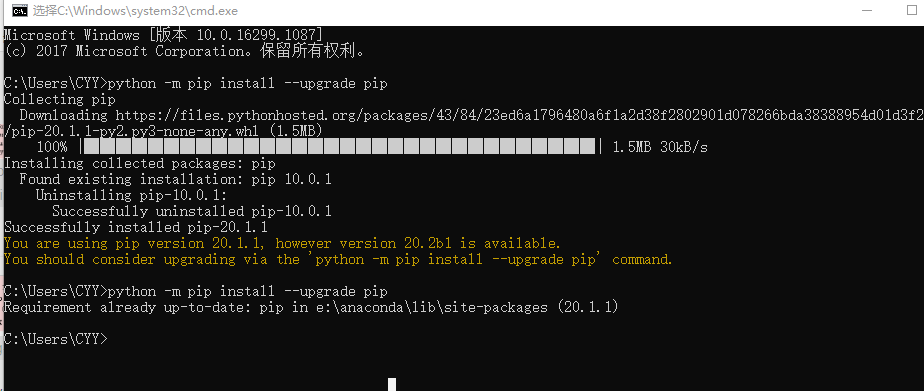 pip install pandas
