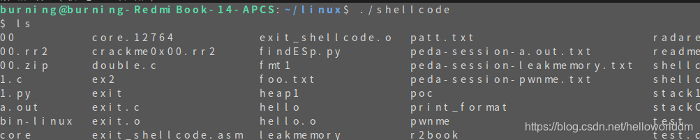 shellcode编写-Linux(32位)-第7张图片-网盾网络安全培训
