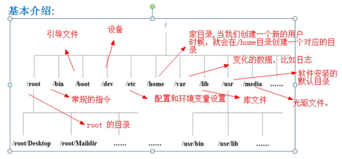 Linux目录结构说明-CSDN博客