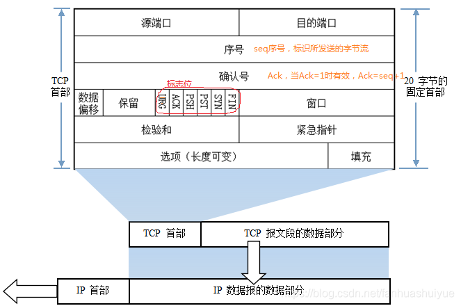 TCP报文段