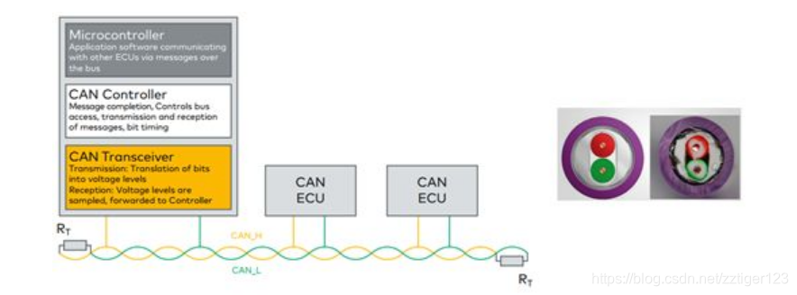 CAN topology network