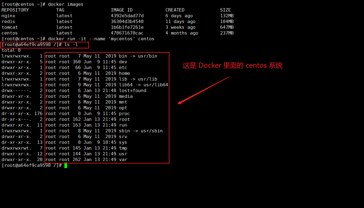 Docker信哥-