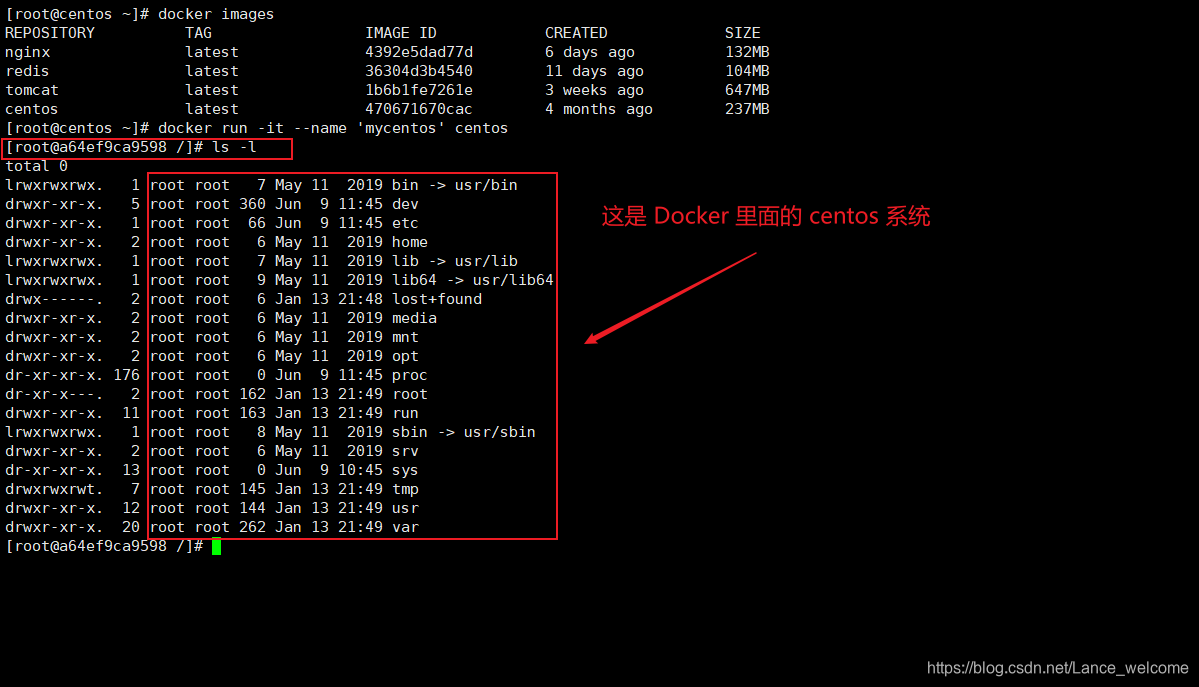 Docker信哥-