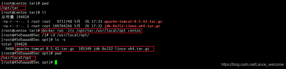 Docker信哥-