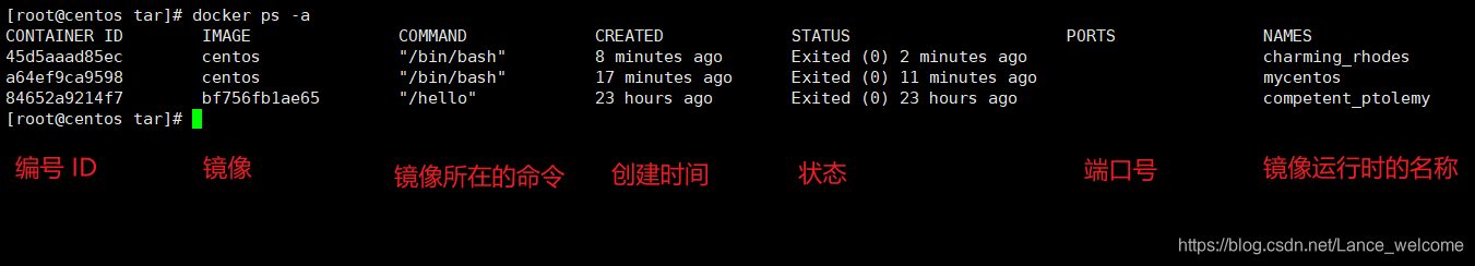 Docker信哥-