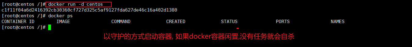 Docker信哥-