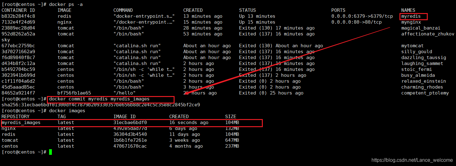 Docker信哥-