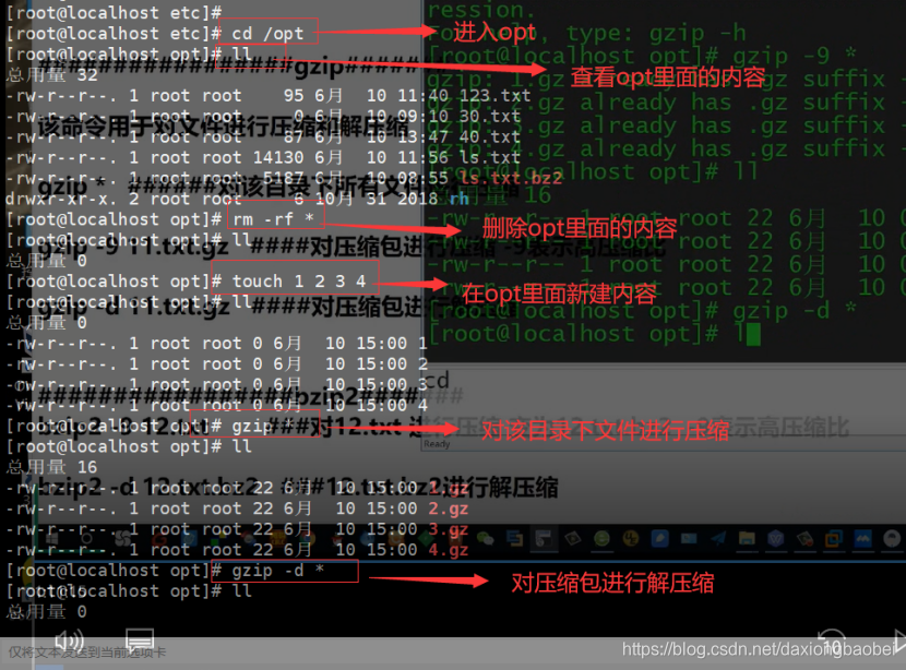Linux基本操作命令_linux基本命令-CSDN博客