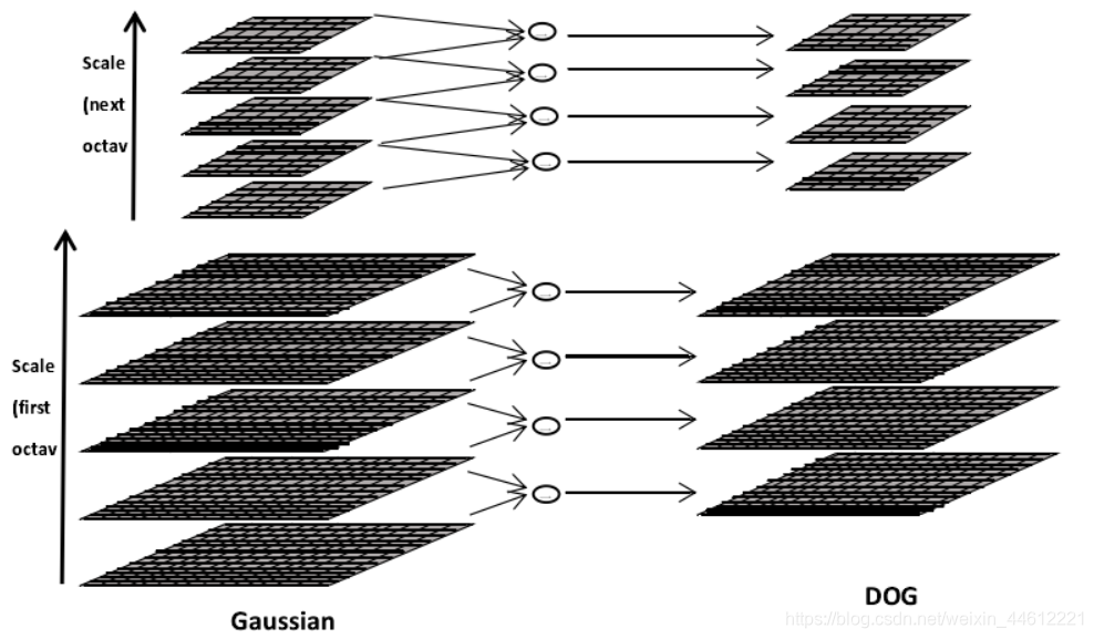 Schematic diagram of DOG construction process