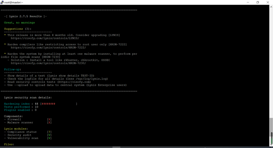 Lynis介绍与使用我是一块小石头-