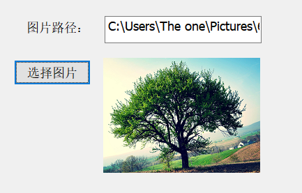 MFC中PictureControl控件的使用(通过文件对话框CFileDialog获取图片文件)qq40589068的博客-