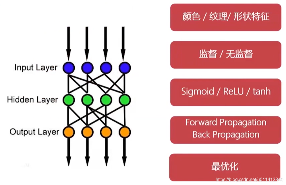 神经网络