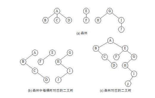 一文教你了解树和森林RodmaChen的博客-