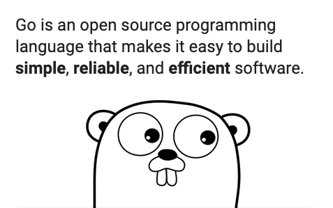 一起学Go哇-第一天帮助那些有需要的人-