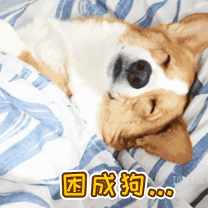 csdn博客编写即markdown编辑器的基础,日常,进阶用法(持续更新)